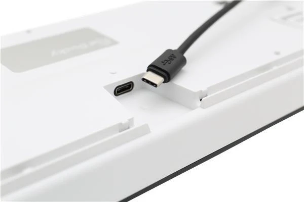 Ducky One 2 mit Hintergrundbeleuchtung. Cherry MX Blue