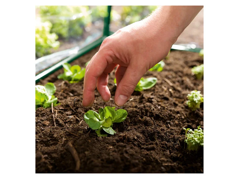 PARKSIDE® Serre de jardin en film plastique