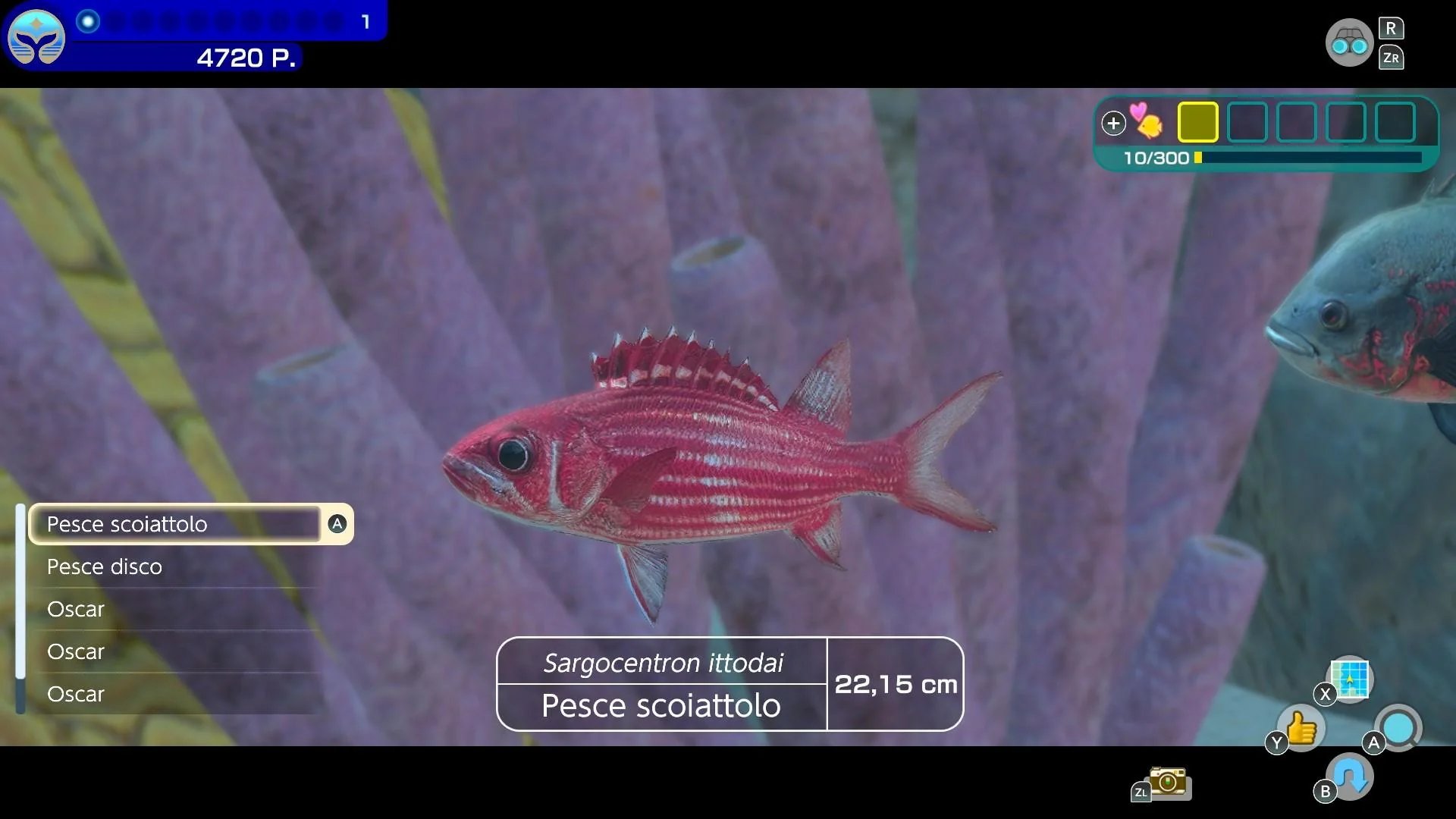 Endless Ocean Luminous (UKV)