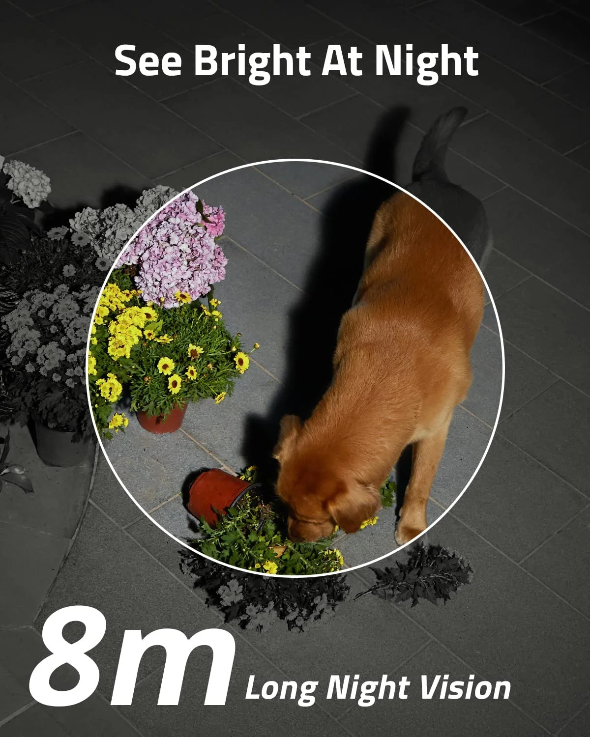 Eufy SoloCam S230 Solar Security Camera S40, 4K UHD, 4-Cam Kit, White, 4-Pack